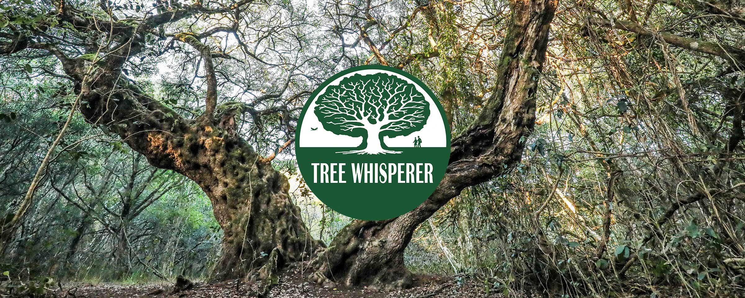 Tree Whisperer Forest Management company